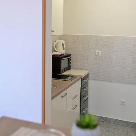 Apartman Ajduk With Parking And Terrace * זאדאר